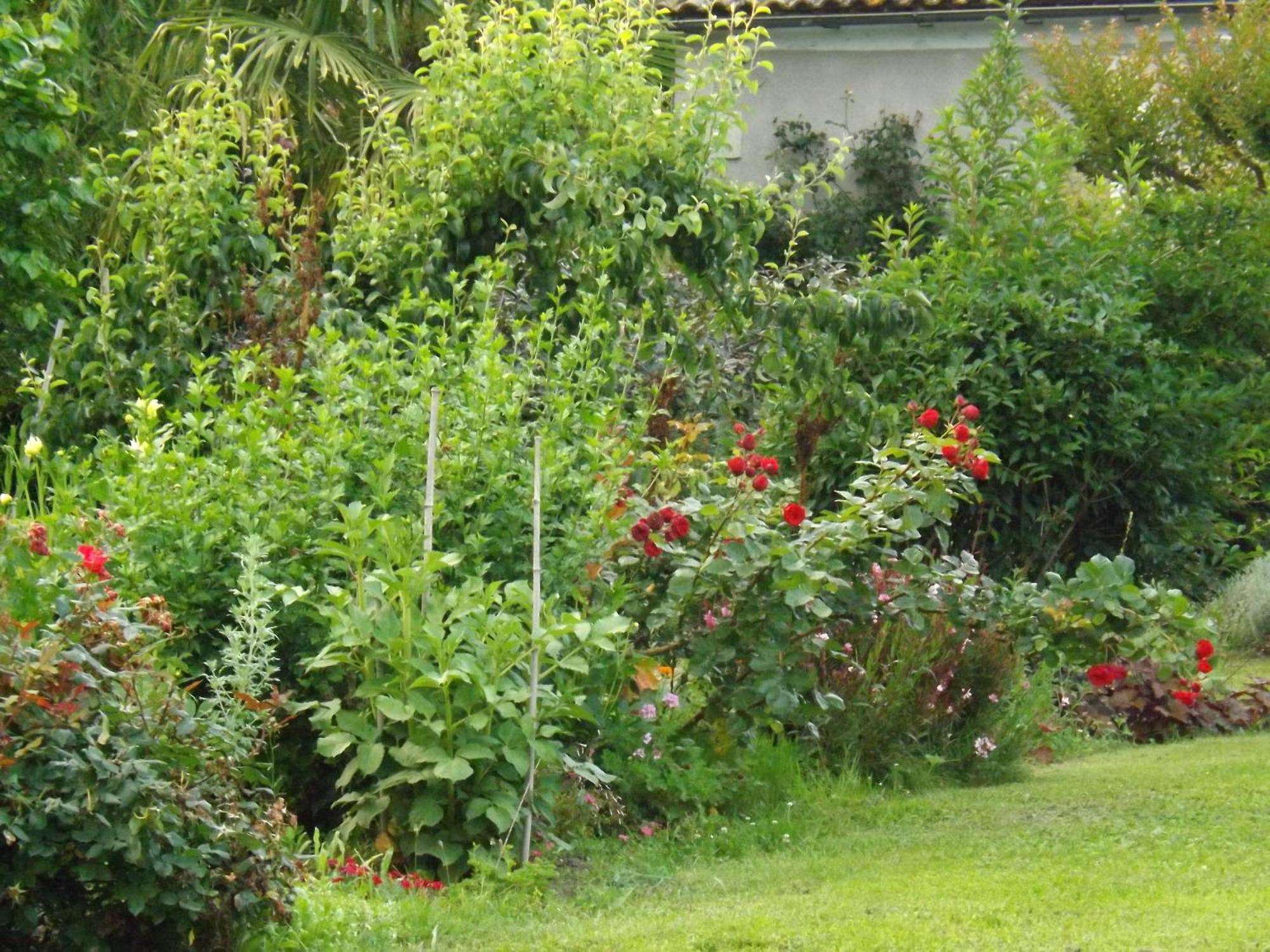 Damechouette Bed & Breakfast Pujols  Ngoại thất bức ảnh